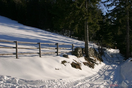 Schneeschuhwandern (20090104 0040)